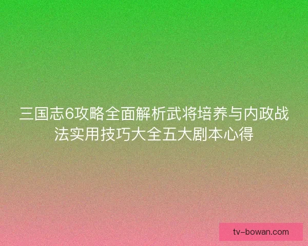 三国志6攻略全面解析武将培养与内政战法实用技巧大全五大剧本心得